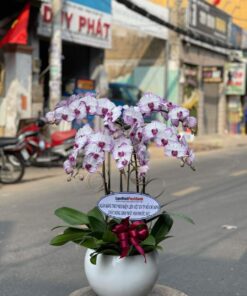 Thiên niên vạn lộc 01