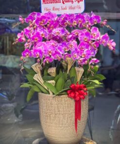 Thiên niên vạn lộc 02