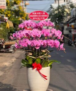 Lộc trường phát 04