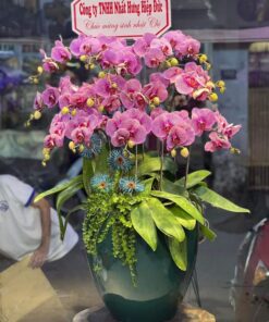 Lộc trường phát 02