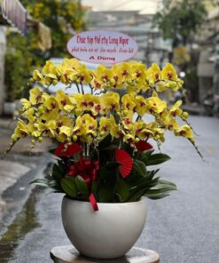 Đón thần tài 02