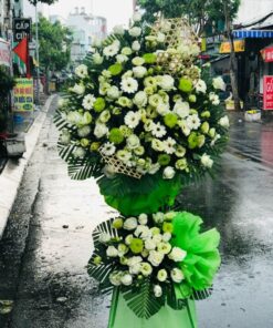 Cánh cửa hy vọng