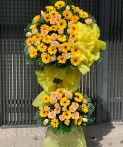 Thành công dẫn đầu 01