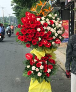 Khát vọng vươn xa 01