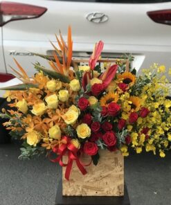 Vũ điệu thiên thần