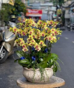 Thiên niên vạn lộc 05