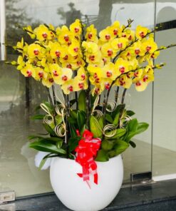 Thiên niên vạn lộc 04