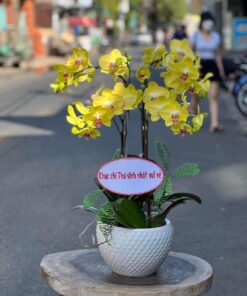 Thiên niên vạn lộc 03