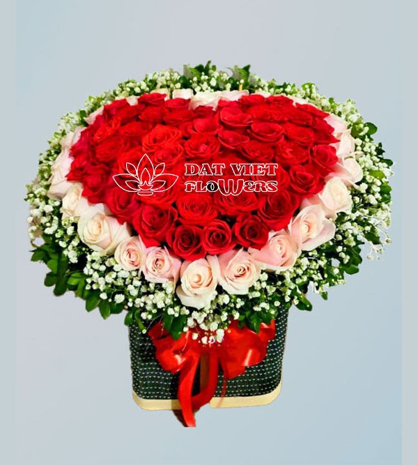 Hoa hướng dương tươi tắn