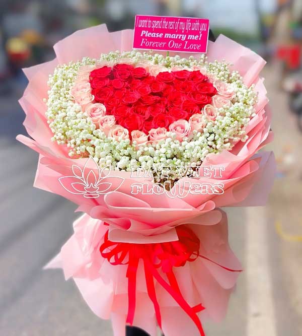 Hoa lan hồ điệp