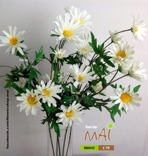 Khu vườn với hoa lá