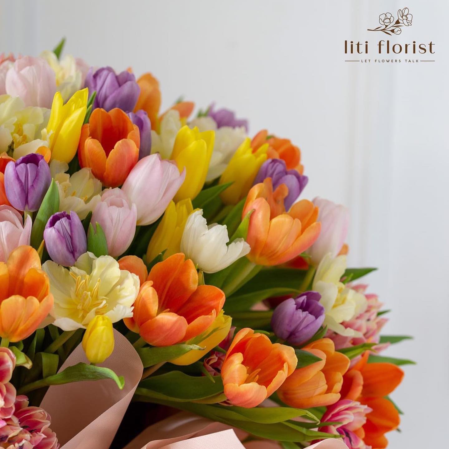 Tulip trắng thanh khiết