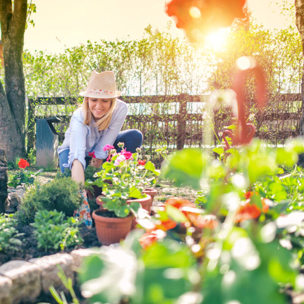 Tưới nước cho hoa