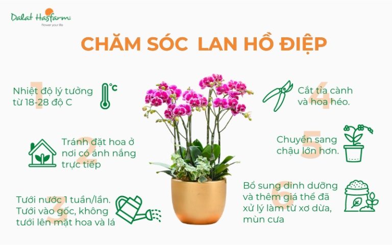 Vệ sinh chậu trồng