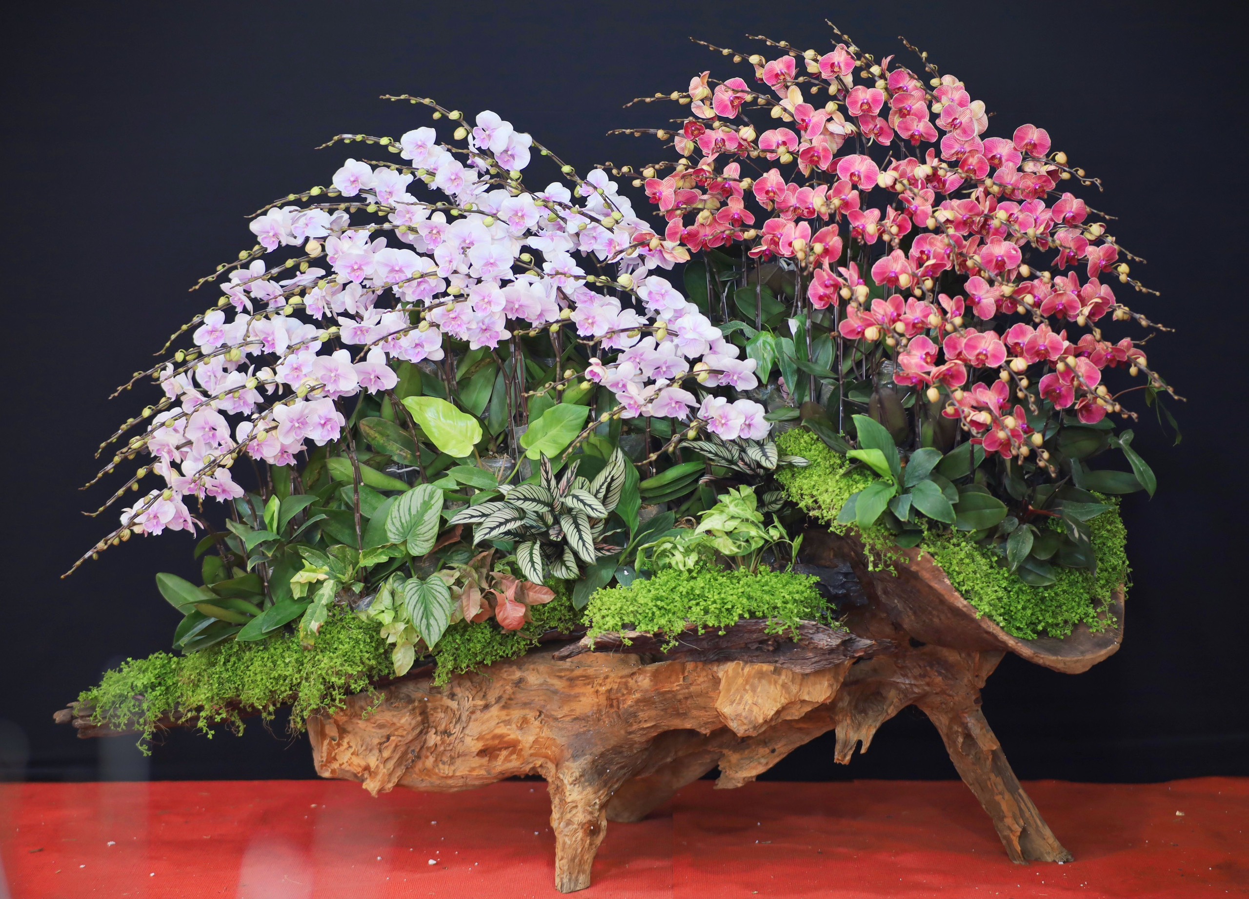 Hướng dẫn chọn hoa phù hợp