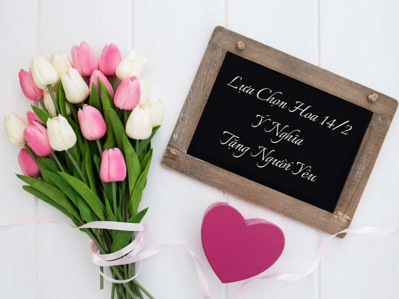 Hoa cẩm tú cầu lãng mạn