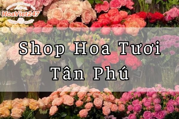 Tiệm hoa tươi Tân Phú