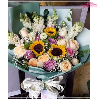 Cây Thiết Mộc Lan