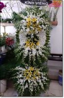 Miễn phí giao hoa tại Tân Phú