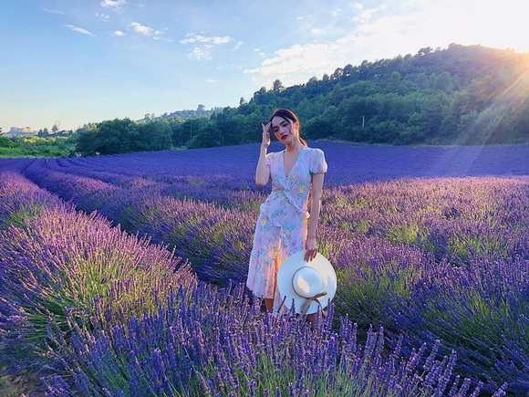 Ý nghĩa các loài hoa đẹp nhất Thế giới | 30 loài thông dụng nhất mọi thời đại 79 LAVENDER